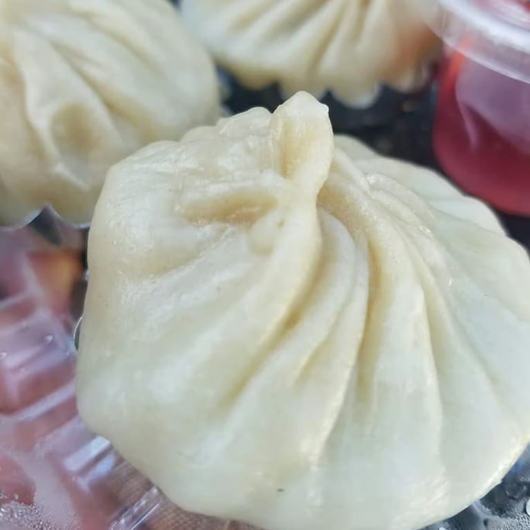 Savor Our Dumpling Selection